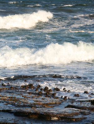 Another rock fishing fatality